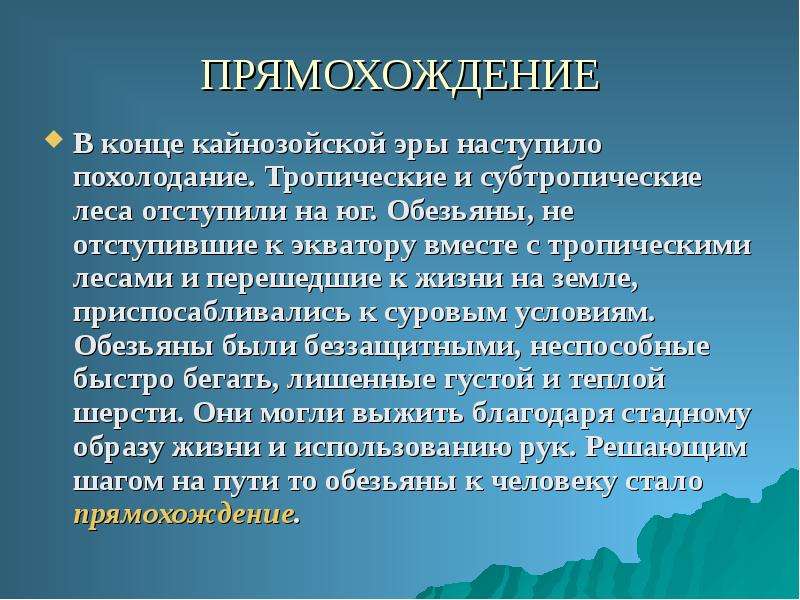 Прямохождение. Предпосылки прямохождения. Причина возникновения прямохождения. Прямохождение способствовало. Прямохождение у человека способствовало.