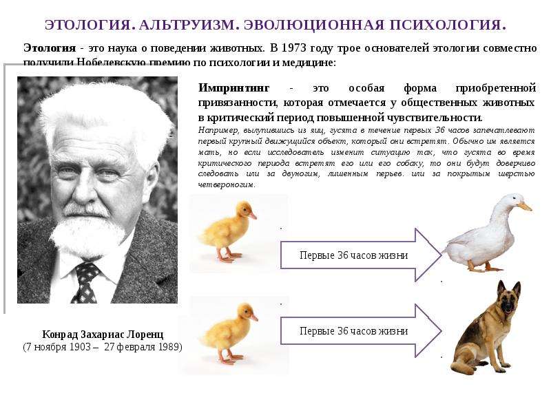 Этология это. Этология животных. Этология это в психологии. Этология это наука о. Этология человека.