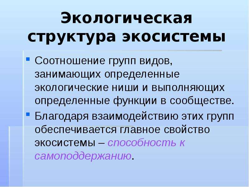 Презентация на тему структура экологической системы