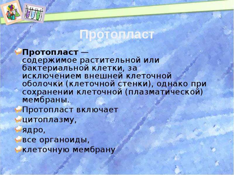 Протопласт. Протопласт растительной клетки. Протопласт и его компоненты. Протопласт состоит из.