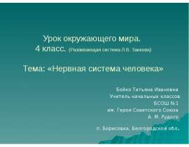 Урок окружающего мира. 4 класс. (Развивающая система Л.В. Занкова) Тема: «Нервная система человека» Бойко Татьяна Ивановна Учител