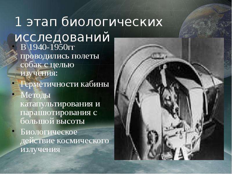 Биологические исследования в космосе  Учащиеся 8 класса, слайд №5