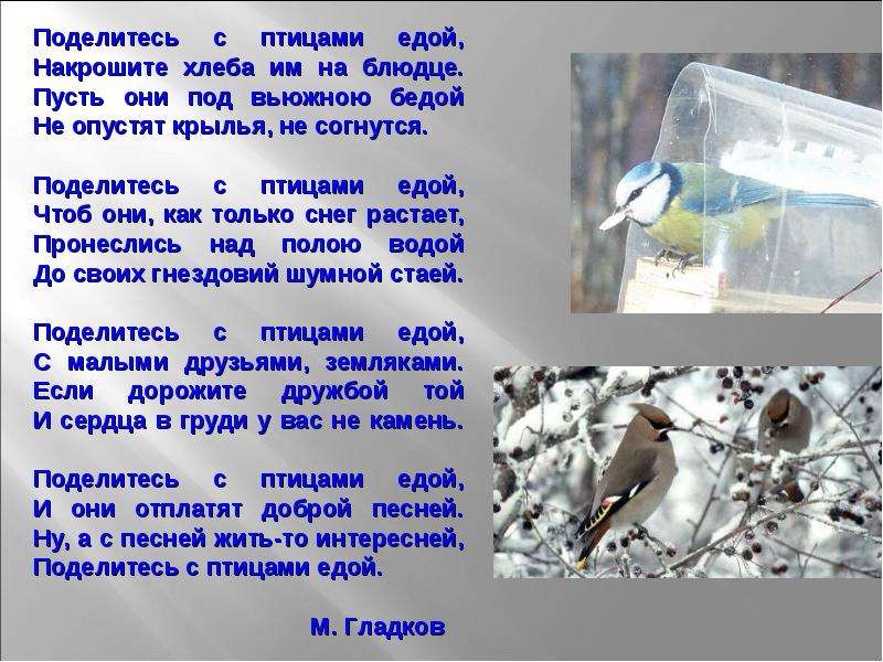 Стихотворения птицы зимой. Стихи про птиц. Стихи про птиц для детей. Стихи про птиц зимой для детей. Стихи про зимующих птиц.