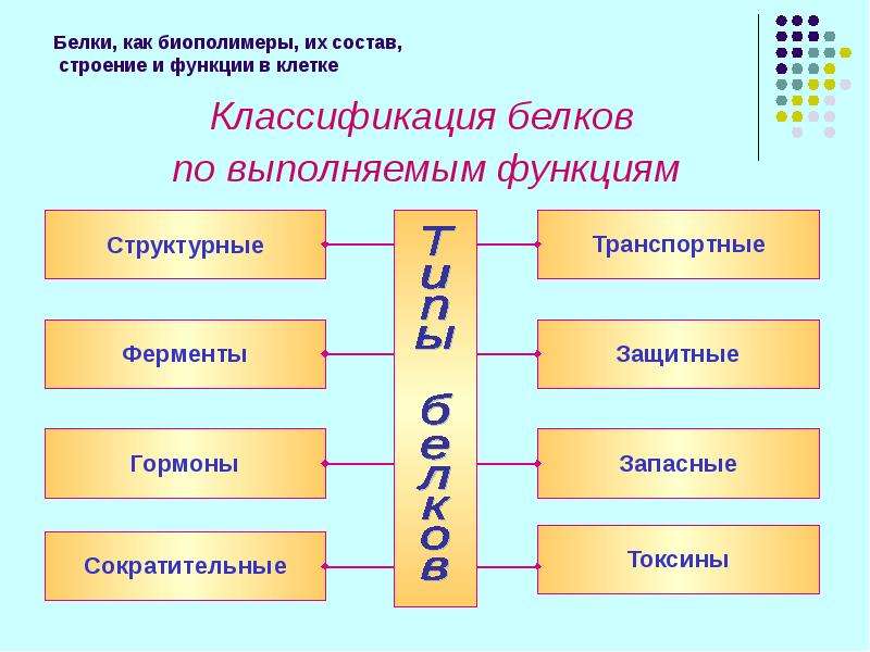 Классификация белков презентация