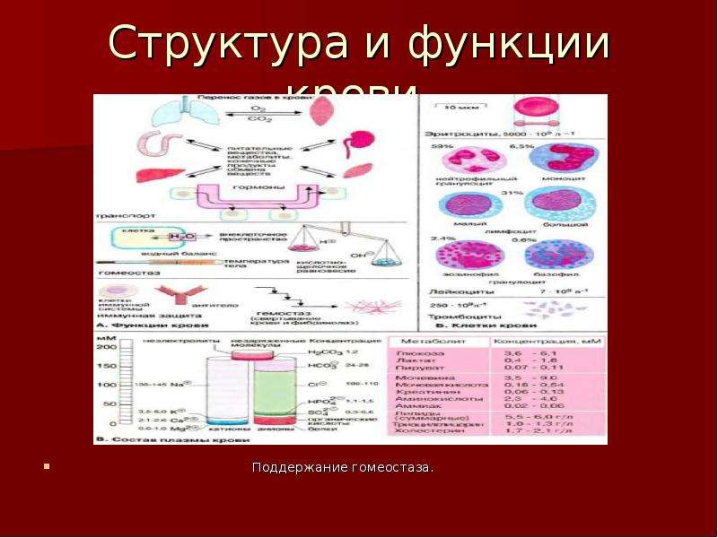 Поддержание гомеостаза кровью. Кровь функции крови гомеостаз. Транспортная функция крови. Жесткие и пластичные константы гомеостаза. Роль системы крови в поддержании гомеостаза.