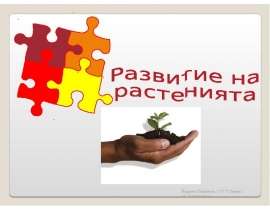 Развитие на растенията - презентация