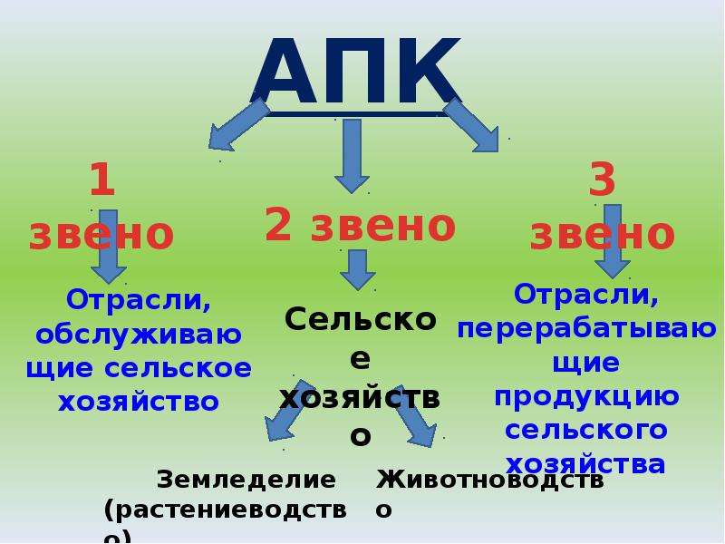 3 звено апк. Отрасли АПК звенья. 3 Звена АПК. Звенья агропромышленного комплекса. Третье звено агропромышленного комплекса.