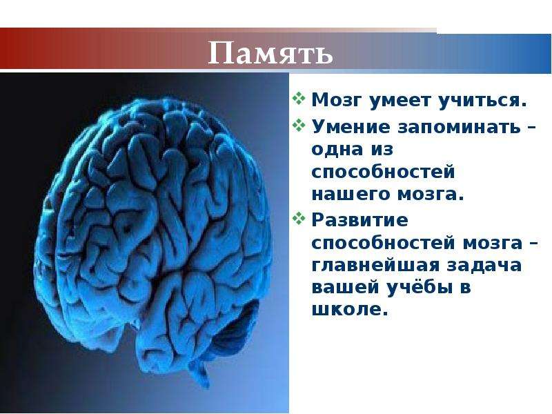 Презентация по человеку и миру 3 класс