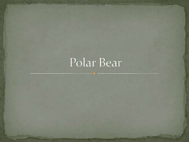 Презентация к уроку английского языка "Polar Bear" - , слайд №1