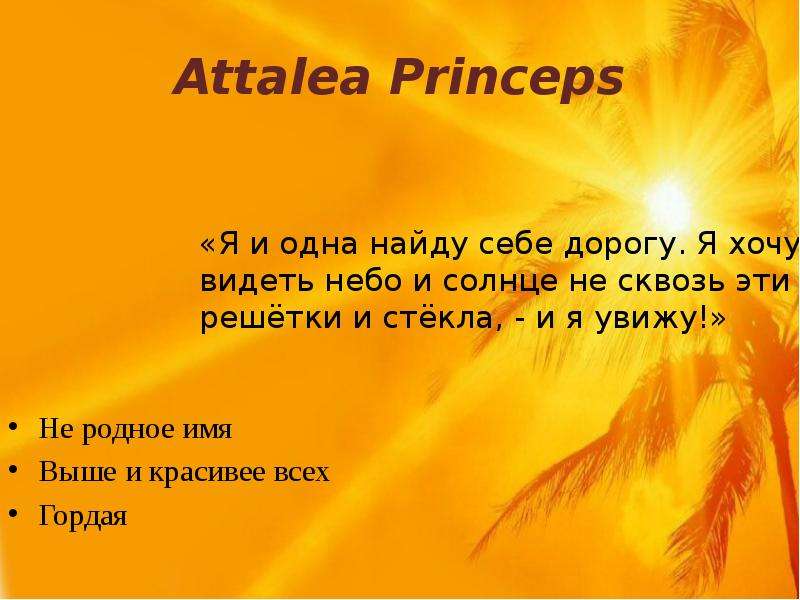 Гаршин attalea princeps читать. Сказка Аталия принцепс. Атталея принцепс в Гаршин. В.М. Гаршин. Сказка «Attalea princeps». Гаршин Attalea princeps иллюстрации.