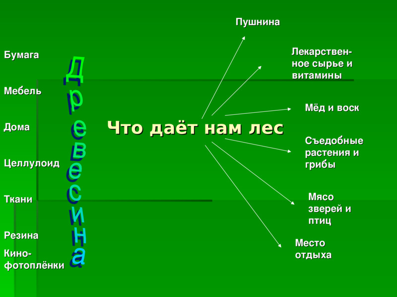 Значение леса в жизни северян схема