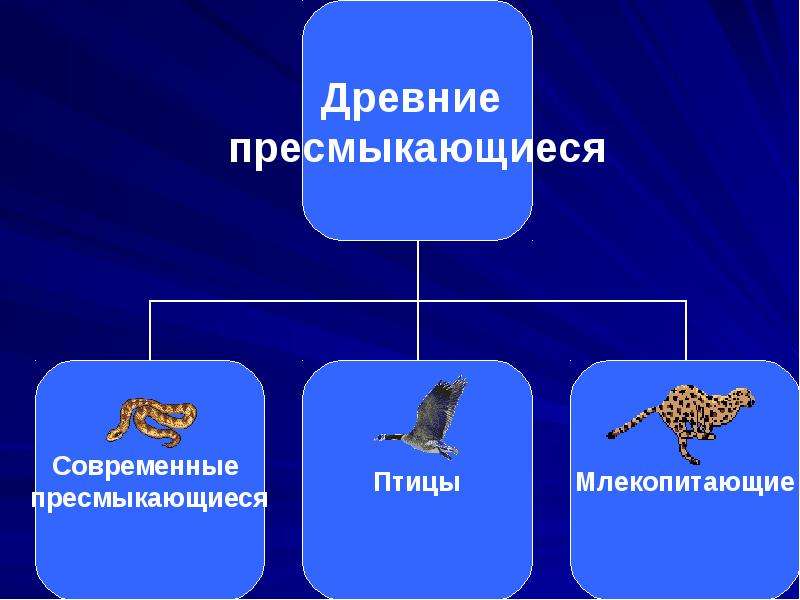 Презентация пресмыкающиеся 7 класс биология пасечник