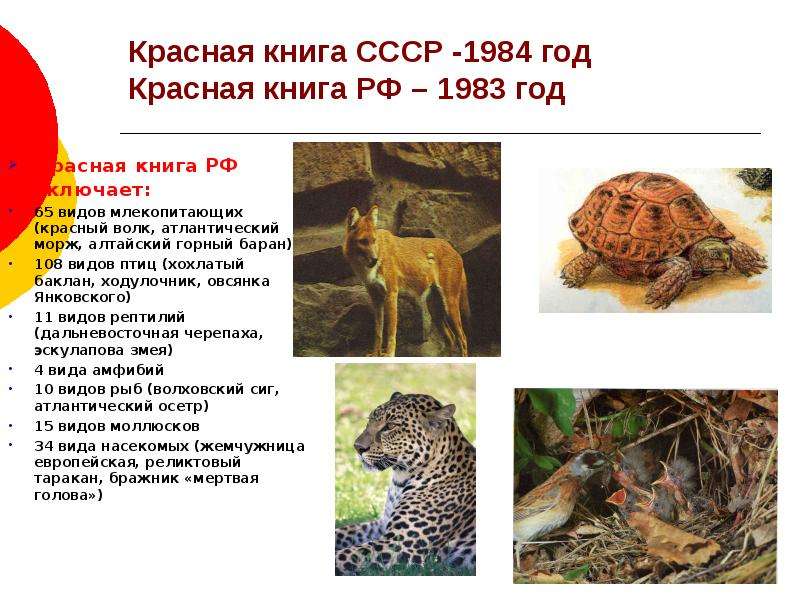 Животные красной книги россии фото и описание