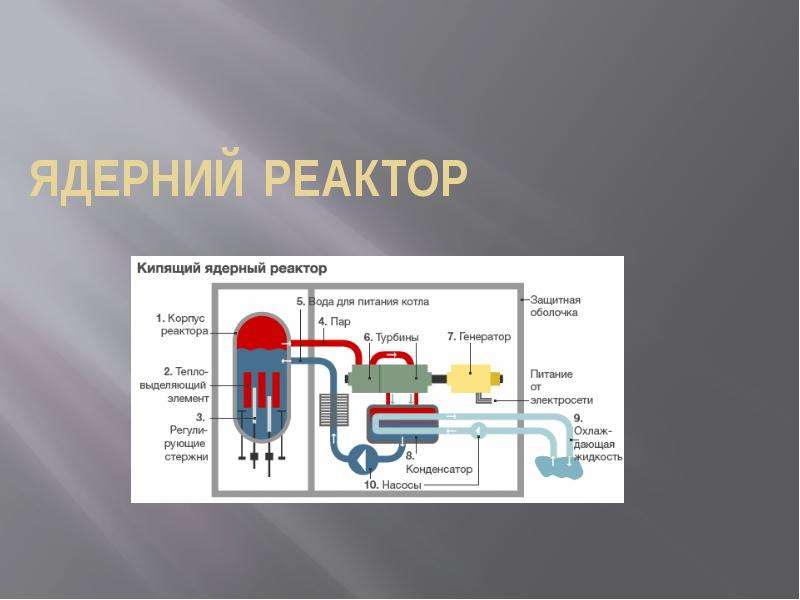 Презентация на тему реакторы