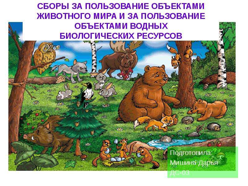 Пользование объектом. Сборы за пользование объектами животного мира. Сборы за пользование объектами животного мира и водных ресурсов. Объектами животного мира и объектами водных биологических ресурсов.. Сборы за пользование объектами водных биологических ресурсов.