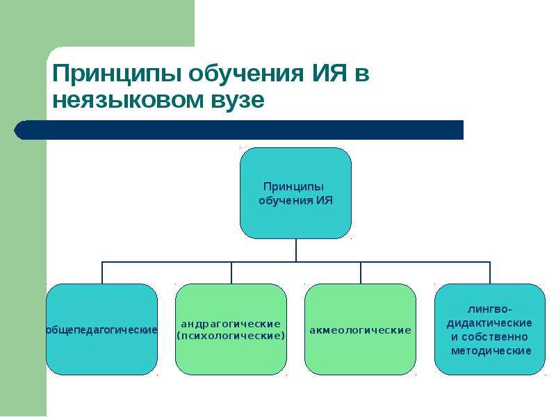 Языковое неязыковое. Принципы обучения в вузе. Принципы обучения в университете. Принципы обучения ия. Принципы раннего обучения ия таблица.