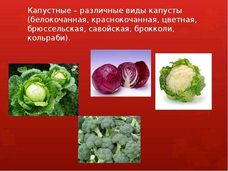 Презентация на тему Классификация овощей   	  , слайд №3