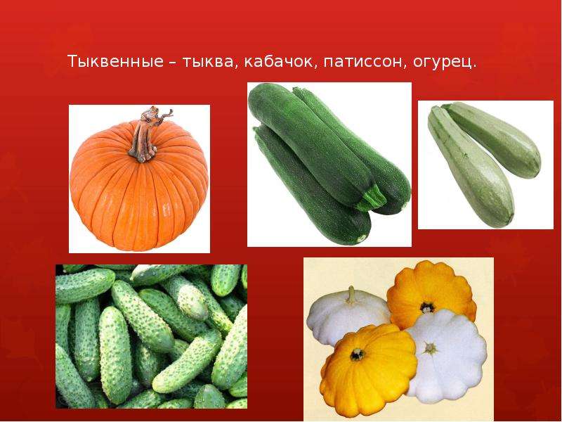 Презентация на тему Классификация овощей   	  , слайд №7