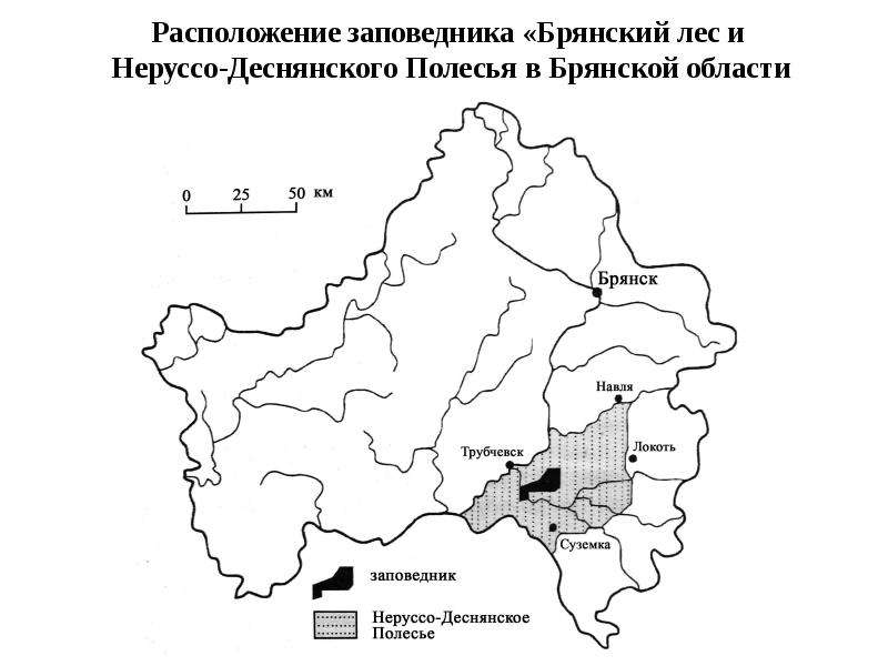 Карта брянского заповедника. Границы заповедника Брянский лес на карте Брянской области. Заповедник Брянский лес карта заповедника. Заповедник Брянский лес на карте. Карта Брянск заповедник Брянский лес.