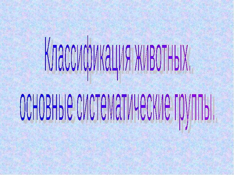 Презентация на тему классификация. Презентация животный мир 7 класс по информатике.