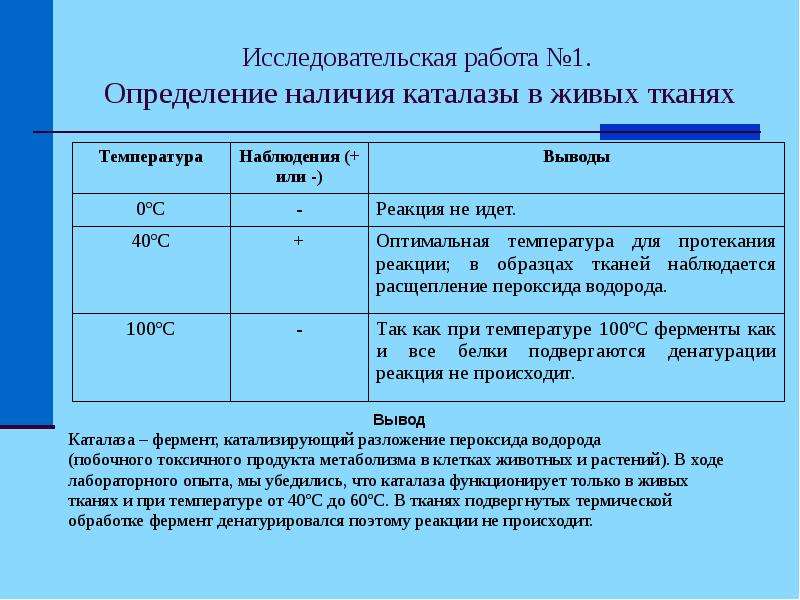 Проект ферменты 10 класс