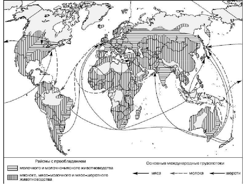 Основные районы. Главные районы животноводства мира. Животноводство в мире карта. Животноводство основные районы размещения в мире. Основные районы скотоводства в мире.
