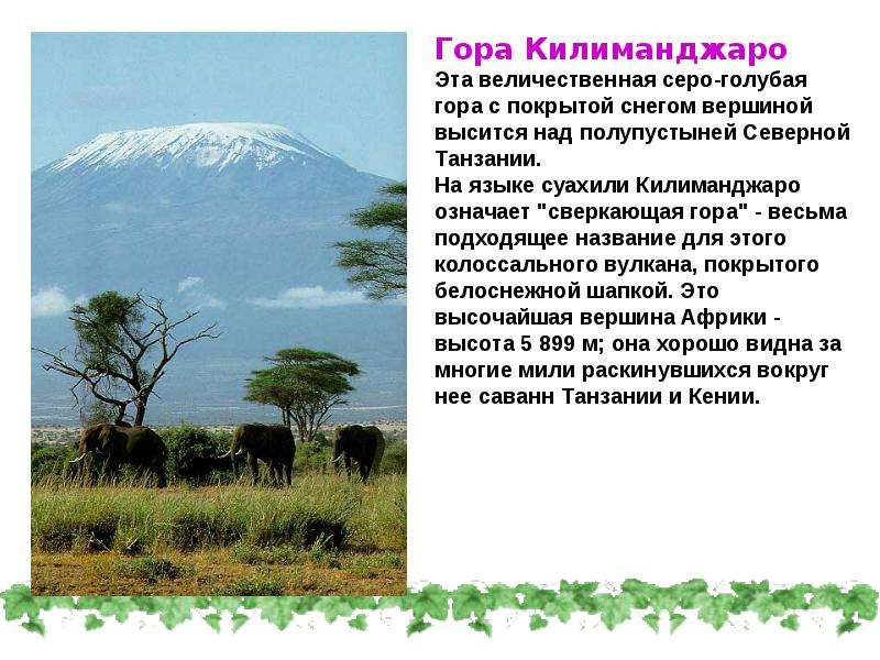 Чудо природы текст. Краткое сообщение о горе Килиманджаро. Килиманджаро Горная система. Гора Килиманджаро интересные факты. Описание вулкана Килиманджаро.