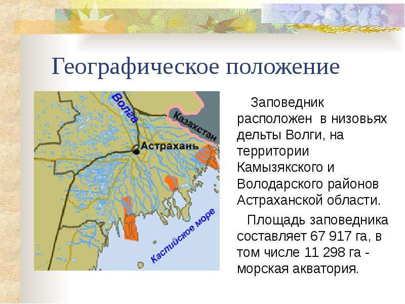 Составить географическое положение. Астраханский заповедник местоположение и особенности. Астраханский заповедник географическое положение. Астраханский биосферный заповедник местоположение. Астраханский заповедник географическое положение на карте.