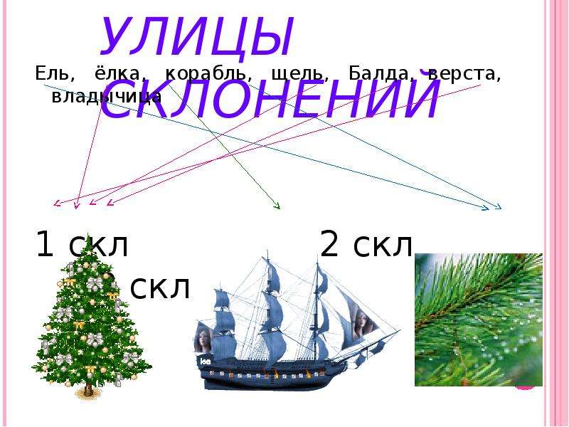 Ель склонение. Склонившаяся ель. Просклонять слово ель. Елка склонение.