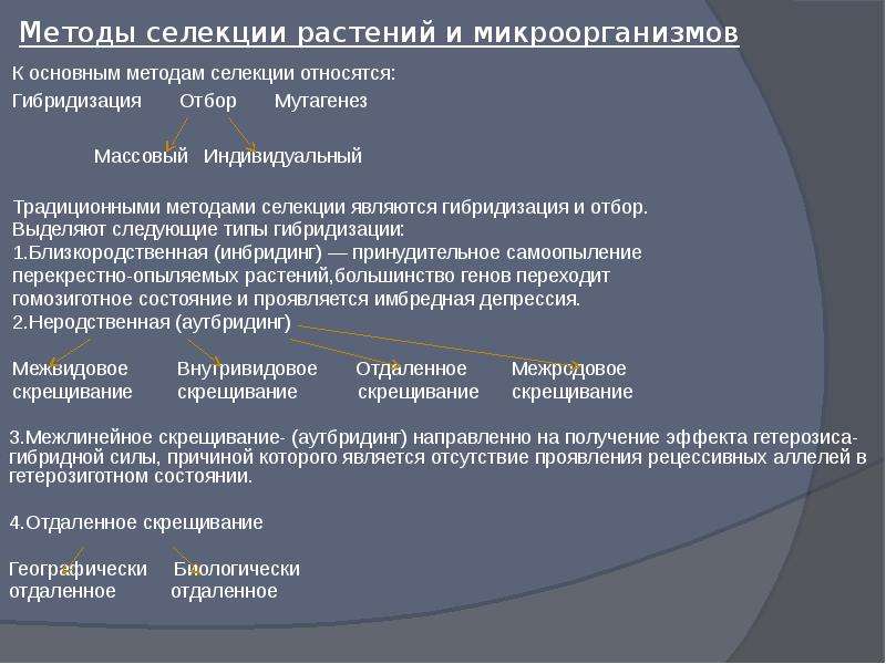 Методы селекции растений презентация 10 класс