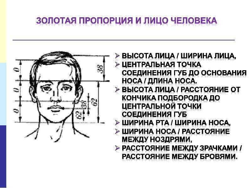 Высота лица. Пропорция ширина к высоте лица. Пропорции лица человека ширина и высота. Ширина лица точки.