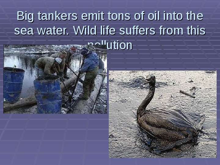 


Big tankers emit tons of oil into the sea water. Wild life suffers from this pollution

