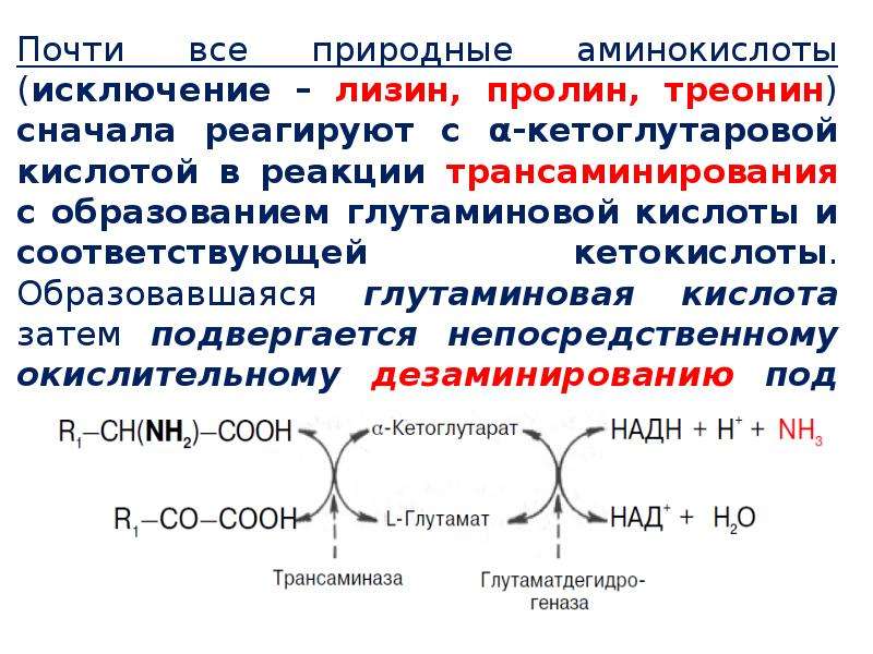 Декарбоксилирование аминокислот презентация