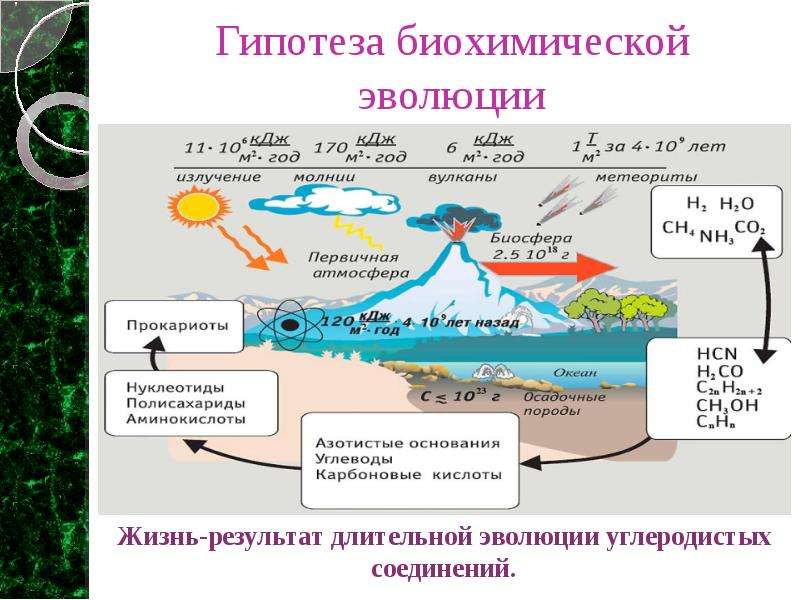 Презентация возникновение жизни