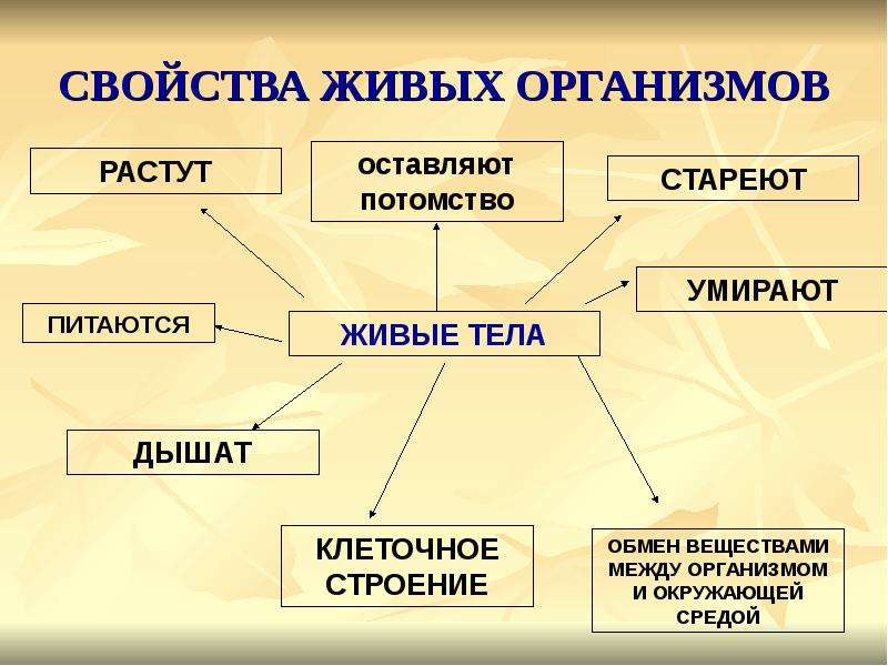 Каковы основные свойства живых тел природы кратко. Перечислите свойства живых организмов. Общие свойства живых организмов 9 класс. Перечислите свойства живых организмов 5 класс. Свойства живых организмов 5 класс биология таблица.