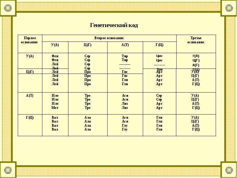 Белковый код. Генетический Синтез белка таблица. Генетический код Биосинтез белка таблица. Таблица генетического кода расшифровка.
