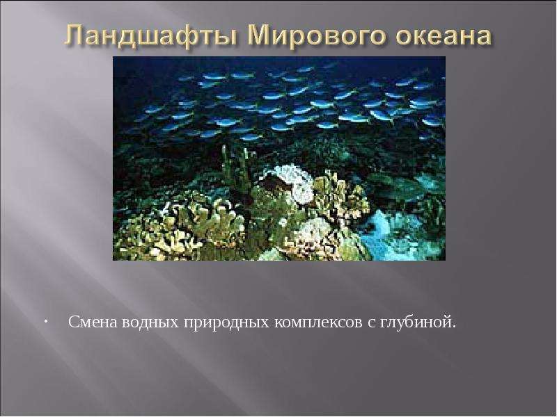 Водные природные комплексы. Компоненты природных комплексов океана. Природные комплексы мирового океана. Морской природный комплекс это. Природные комплексы водные.