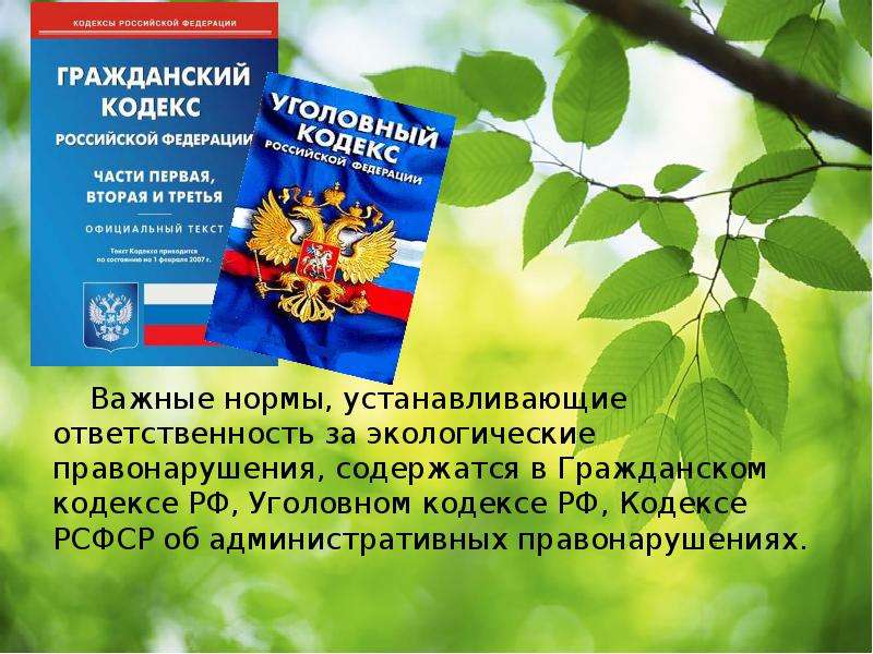 Гражданская ответственность кодекс. Экология законодательство. Правонарушения в области охраны окружающей среды. Кодекс РСФСР об административных правонарушениях. Уголовное законодательство в сфере защиты окружающей среды.