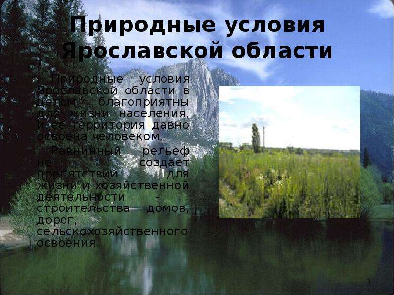 3 природные условия. Природные зоны Ярославской области. Природные условия Ярославской области. Климат Ярославской области. Природные условия Ярославля.