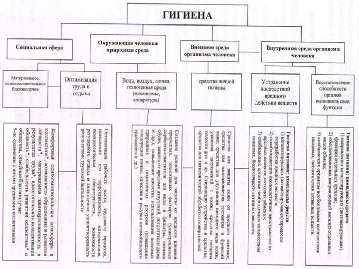 Презентация на тему: Педиатрия и гигиена - основные понятия и принципы, слайд №27