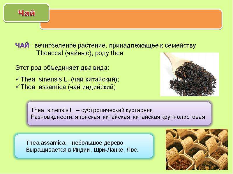 Ассортимент вкусовых товаров презентация