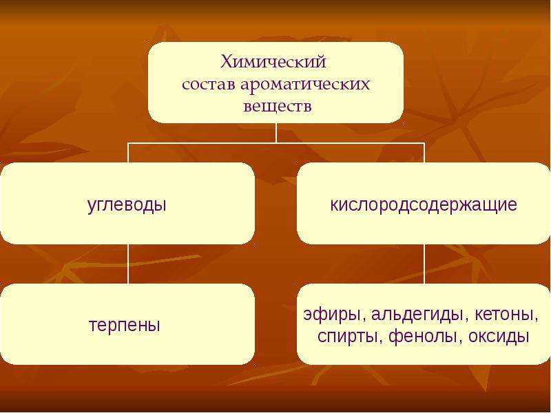 Ароматические вещества и их влияние на организм человека проект презентация