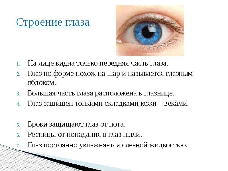 Глаз составить слова. Органы чувств человека глаз орган зрения 3 класс. Сообщение на тему глаза. Доклад про глаза. Доклад про зрение.
