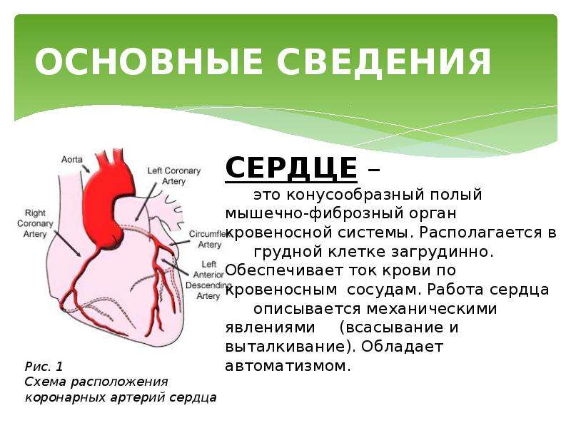 Чем опасна ишемия. Ишемическая болезнь сердца. ИБС заболевания сердца.