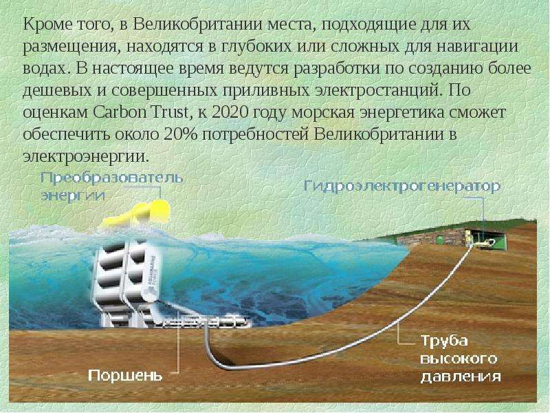 Экологический паспорт школы проект