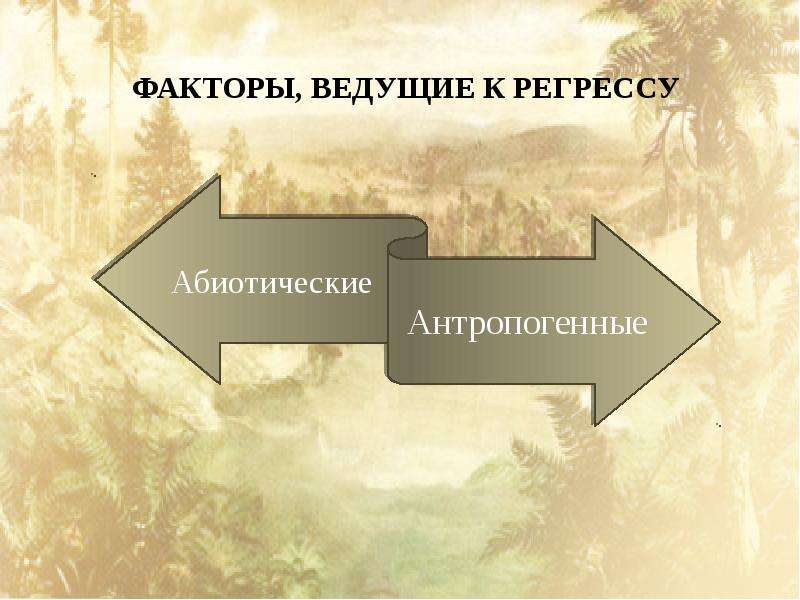 Презентация по биологии 10 класс основные направления эволюции