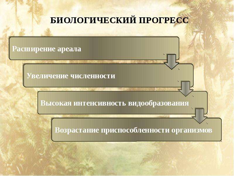 Презентация по биологии 10 класс основные направления эволюции