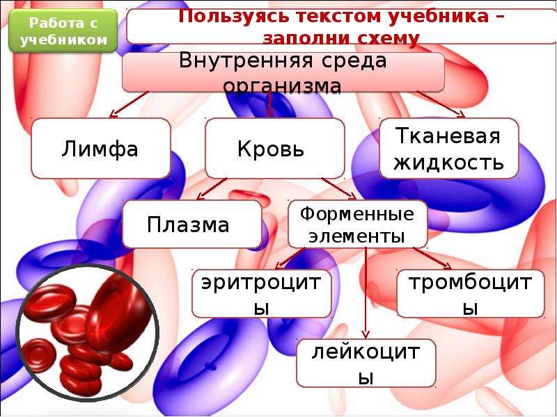 Презентация на тему значение