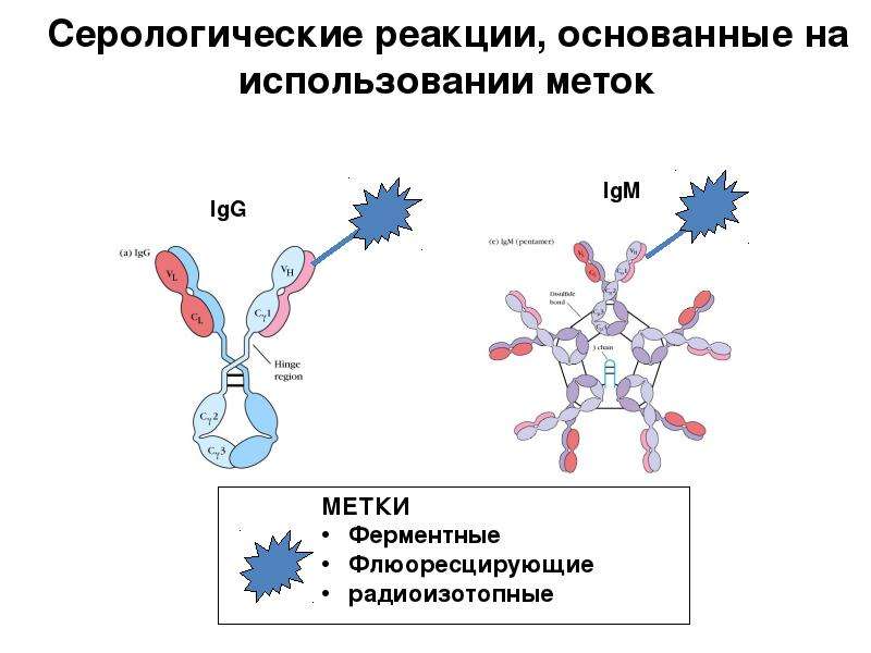 Серологические реакции рисунки