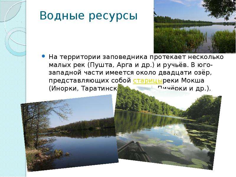 Мордовский заповедник презентация